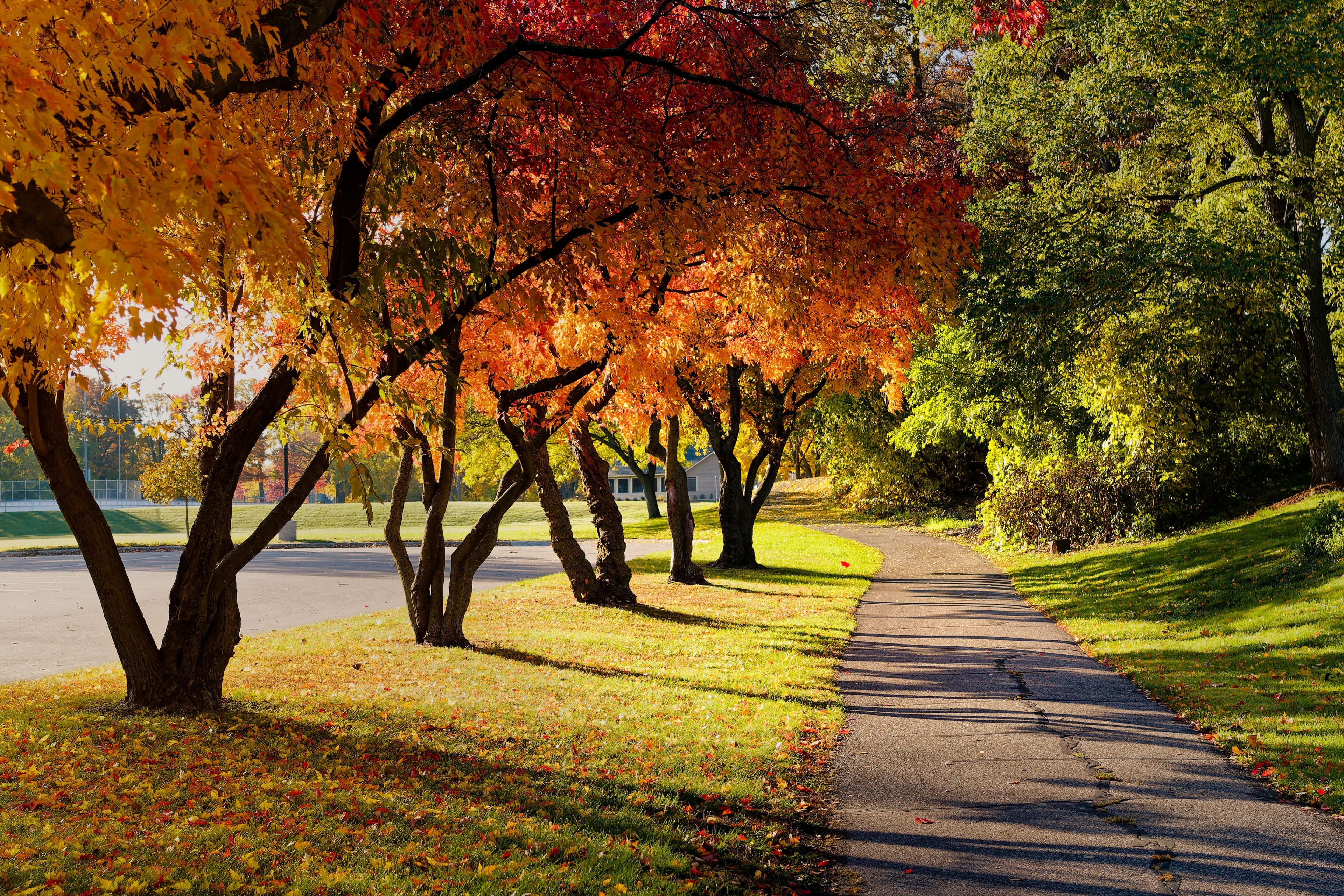 Integrity Protection Agency security services in Woodbury, Minnesota